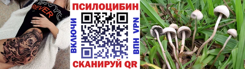 Купить закладки  Нефтекумск  Галлюциногенные грибы мухоморы 